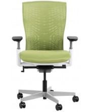 Ергономичен стол Carmen - Reina, зелен