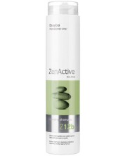 Erayba Zen Active Почистващ шампоан за мазна коса Z12b, 250 ml -1