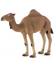 Фигурка Mojo Wildlife - Едногърба камила -1