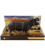 Фигура Raya Toys  - Хипопотам, 22 cm