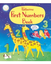 First Numbers Book -1