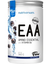 Flow EAA, касис, 360 g, Nutriversum