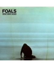 Foals - What Went Down (CD) -1