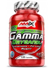 Gamma Oryzanol, 200 mg, 120 капсули, Amix -1