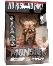 Monster Mass, ягода, 7 kg, Skull Labs -1