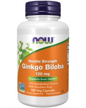 Ginkgo Biloba, 120 mg, Double Strength, 100 капсули, Now
