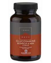 Glucosamine, Boswellia & MSM Complex, 50 капсули, Terra Nova