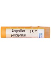 Gnaphalium polycephalum CH15, Boiron