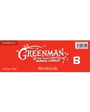 Greenman and the Magic Forest Level B Wordcards / Английски език - ниво B: Карти с думи -1