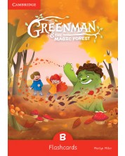 Greenman and the Magic Forest B Flashcards / Английски език - ниво B: Флашкарти -1