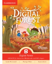 Greenman and the Magic Forest Level B Digital Forest / Английски език - ниво B: DVD-ROM -1
