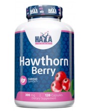 Hawthorn Berry, 300 mg, 120 капсули, Haya Labs -1