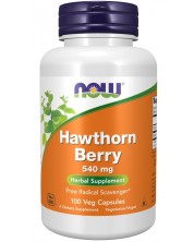 Hawthorn Berry, 100 капсули, Now -1