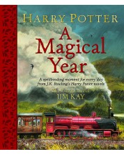 Harry Potter: A Magical Year -1