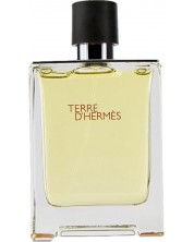 Hermes Terre d'Hermès Тоалетна вода, 100 ml