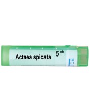 Actaea spicata 5CH, Boiron -1