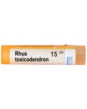 Rhus toxicodendron 15CH, Boiron -1