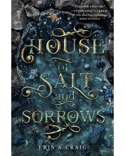 House of Salt And Sorrows 958