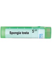 Spongia tosta 5CH, Boiron