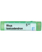 Rhus toxicodendron 5CH, Boiron