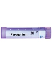 Pyrogenium 30CH, Boiron -1
