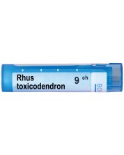 Rhus toxicodendron 9CH, Boiron