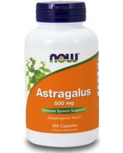 Astragalus, 500 mg, 100 капсули, Now -1