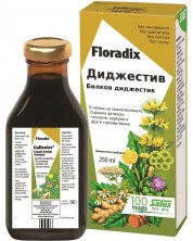 Диджестив, 250 ml, Floradix -1