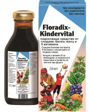 Kindervital, 250 ml, Floradix -1