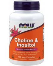 Choline & Inositol, 100 капсули, Now -1