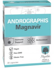 Andrographis Magnavir, 30 капсули, Magnalabs -1