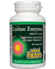 Lactase Enzyme, 250 mg, 60 капсули, Natural Factors