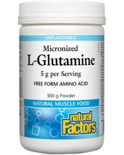 Mirconized L-Glutamine, 5 g, 300 g, Natural Factors -1