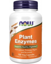 Plant Enzymes, 120 растителни капсули, Now -1