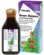 Neuro Balance, 250 ml, Floradix -1