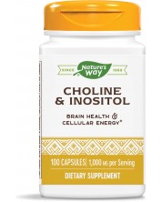 Choline & Inositol, 100 капсули, Nature's Way