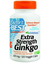 Extra Strength Ginkgo, 120 mg, 120 капсули, Doctor's Best
