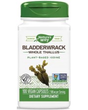 Bladderwrack, 580 mg, 100 капсули, Nature's Way