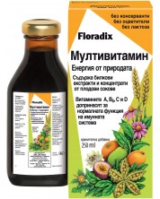 Мултивитамин, 250 ml, Floradix -1
