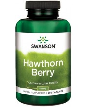 Hawthorn Berries, 565 mg, 250 капсули, Swanson