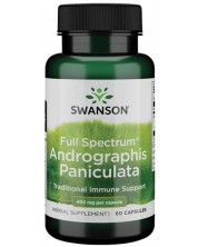 Full Spectrum Andrographis Paniculata, 60 капсули, Swanson