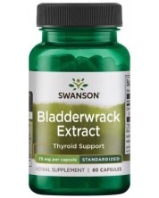 Bladderwrack Extract, 75 mg, 60 капсули, Swanson