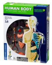 Детски комплект Kosmos - Анатомия на човешкото тяло