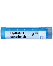 Hydrastis canadensis 9CH, Boiron -1
