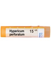 Hypericum perforatum 15CH, Boiron