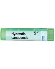 Hydrastis canadensis 5CH, Boiron -1