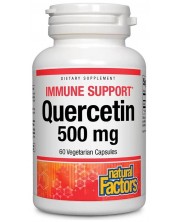 Immune Support Quercetin, 500 mg, 60 капсули, Natural Factors -1