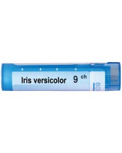 Iris versicolor 9CH, Boiron -1