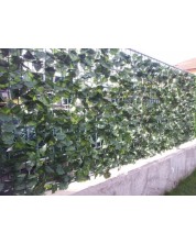Изкуствено озеленяване за ограда Rossima - Бръшлян, 1 x 3 m, тъмнозелено