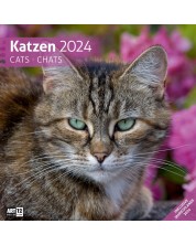 Календар Ackermann - Cats, 2024